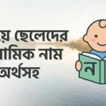 ন দিয়ে ছেলেদের ইসলামিক নাম অর্থসহ
