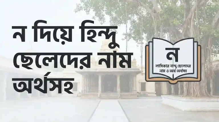 ন দিয়ে হিন্দু ছেলেদের নাম অর্থসহ