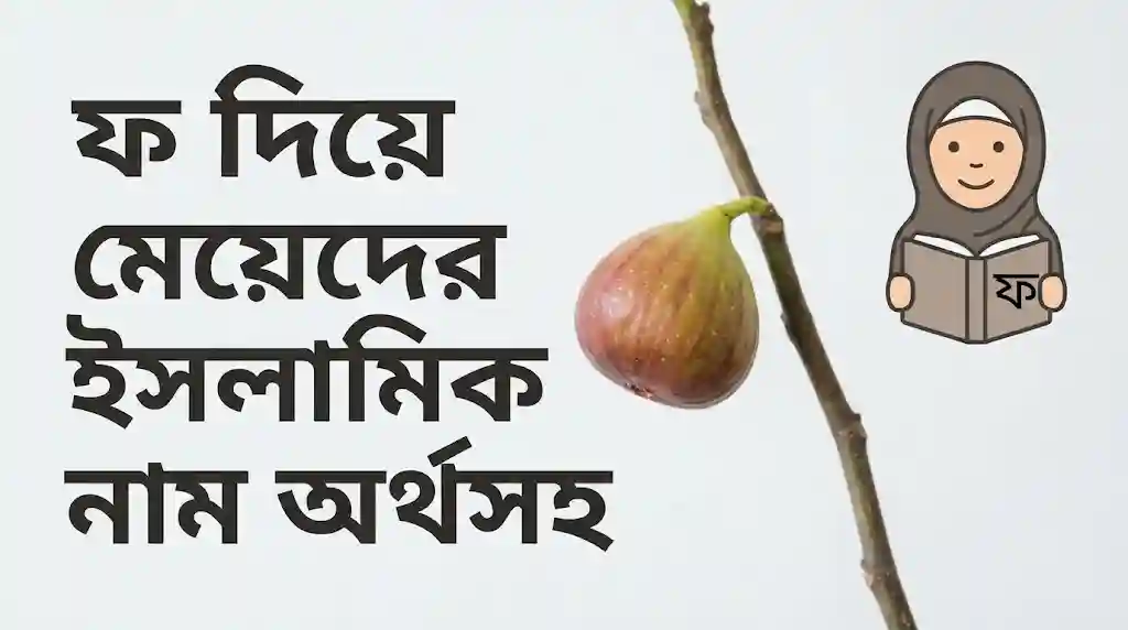 ফ দিয়ে মেয়েদের ইসলামিক নাম অর্থসহ