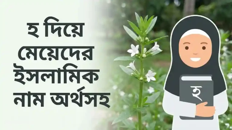 হ দিয়ে মেয়েদের ইসলামিক নাম অর্থসহ