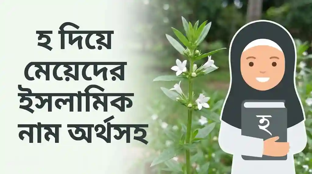 হ দিয়ে মেয়েদের ইসলামিক নাম অর্থসহ